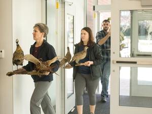 Students carry in taxidermied animals.